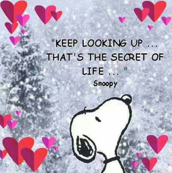 Meet your Posher, Marie - Picture 1 of 1